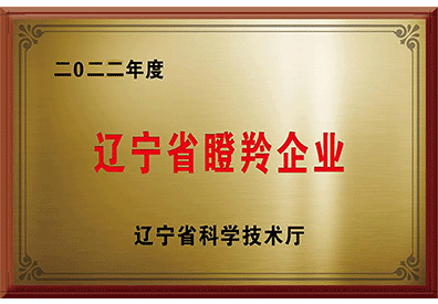 遼寧省瞪羚企業(yè)